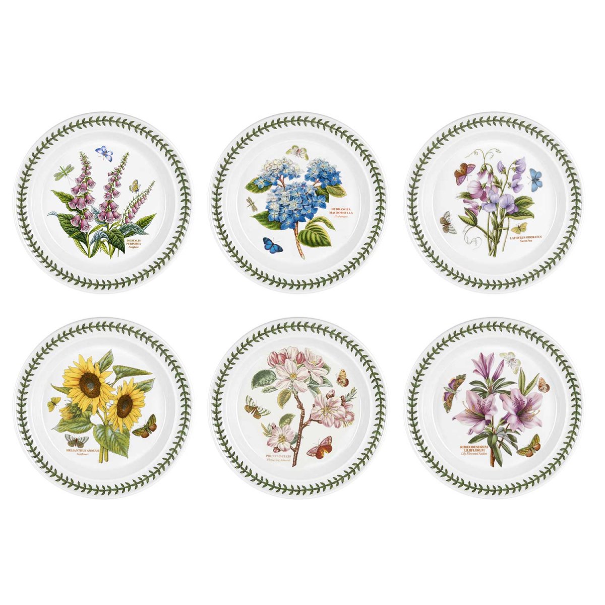 Botanic Garden Set of 6 Dinner Plates image number null